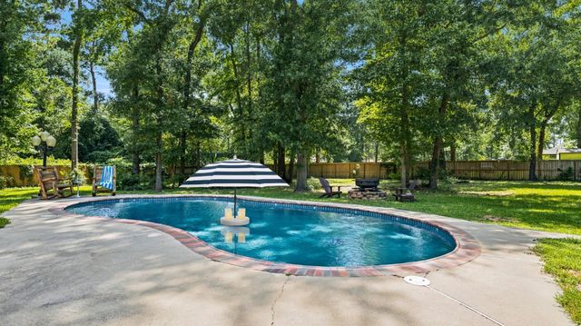 15217 Paradise Point Drive, Willis, TX 77318