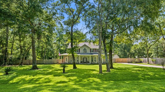 15217 Paradise Point Drive, Willis, TX 77318
