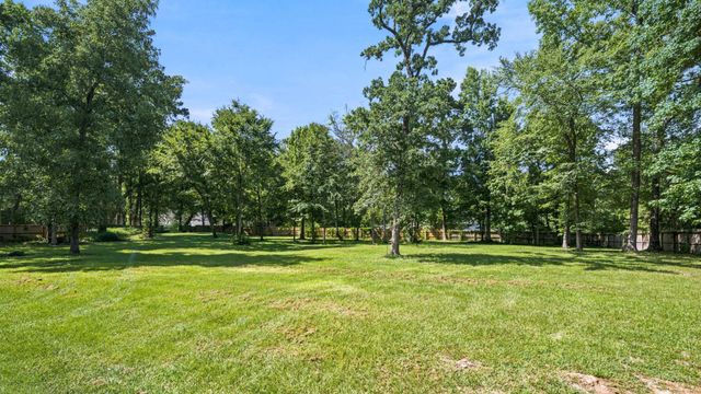 15217 Paradise Point Drive, Willis, TX 77318