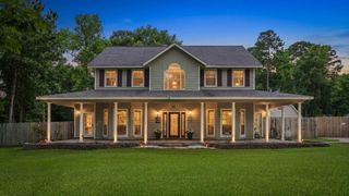 15217 Paradise Point Drive, Willis, TX 77318