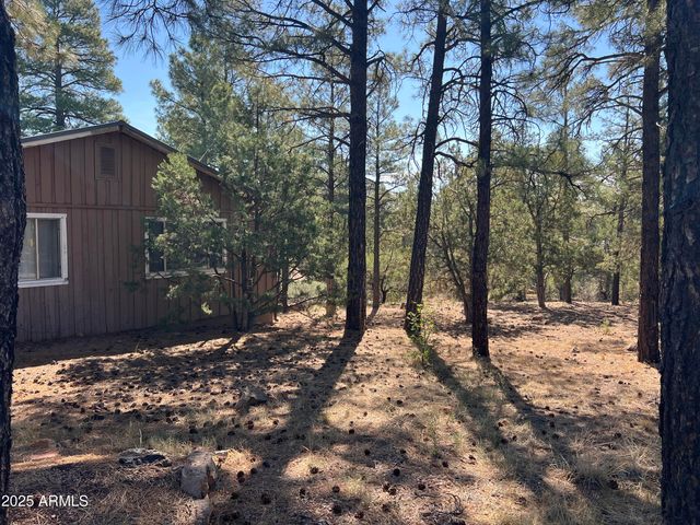 201 S 6TH Place, Show Low, AZ 85901