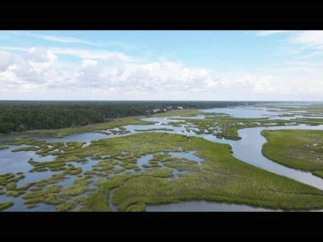 122 Caroline Ct., Murrells Inlet, SC 29576