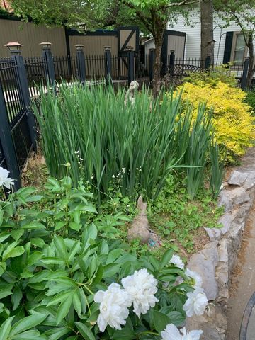 404 Washington St, E, Fayetteville, TN 37334