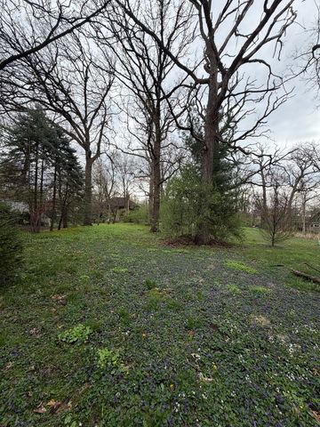 11407 Hiawatha Lane, Indian Head Park, IL 60525