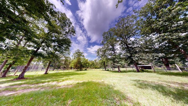 6450 & 6390 Fm-2025, Coldspring, TX 77328