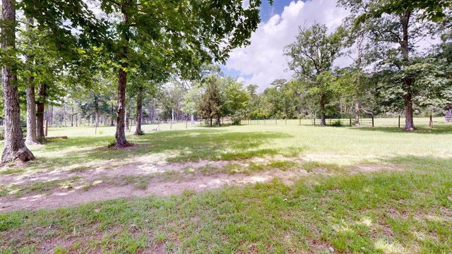 6450 & 6390 Fm-2025, Coldspring, TX 77328