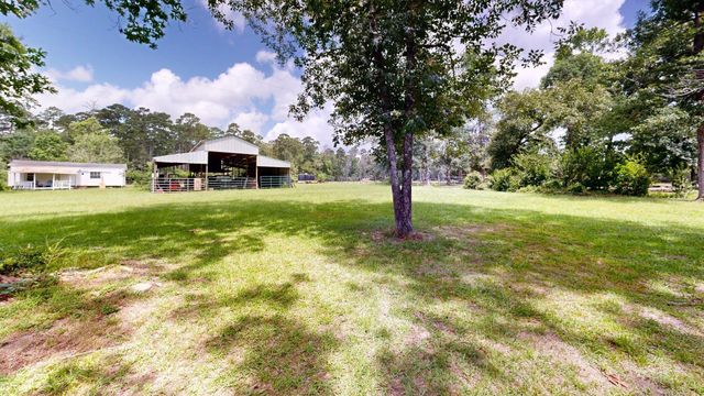6450 & 6390 Fm-2025, Coldspring, TX 77328