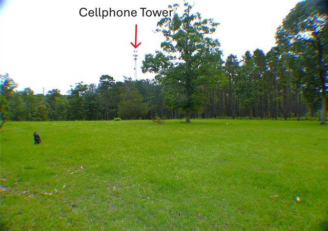 6450 & 6390 Fm-2025, Coldspring, TX 77328