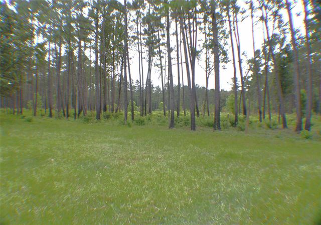 6450 & 6390 Fm-2025, Coldspring, TX 77328