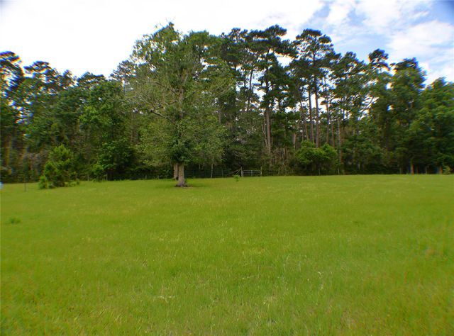 6450 & 6390 Fm-2025, Coldspring, TX 77328
