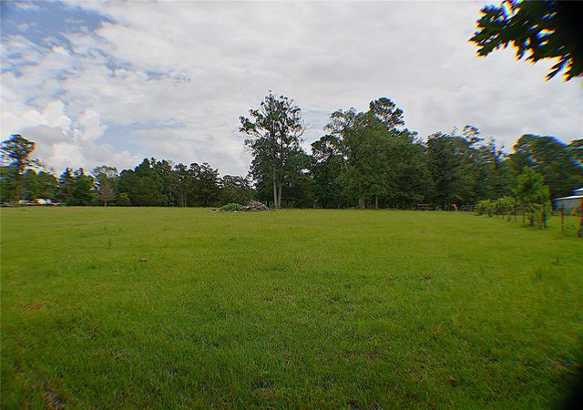 6450 & 6390 Fm-2025, Coldspring, TX 77328
