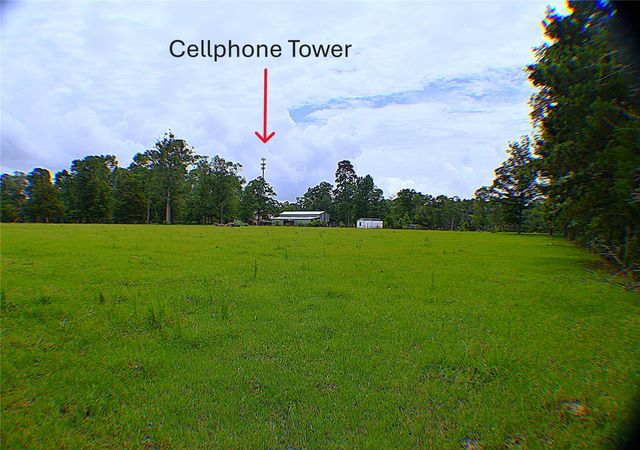6450 & 6390 Fm-2025, Coldspring, TX 77328