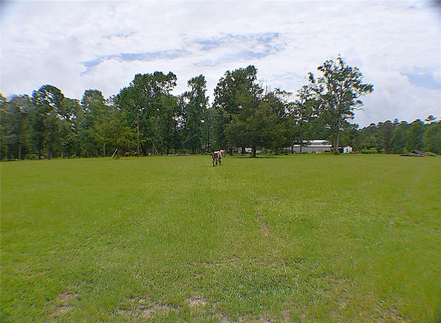 6450 & 6390 Fm-2025, Coldspring, TX 77328