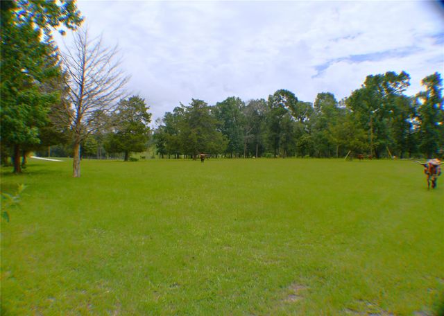 6450 & 6390 Fm-2025, Coldspring, TX 77328