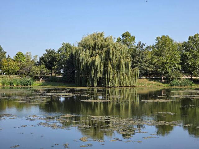 6322 Maple Glen Drive, Wonder Lake, IL 60097