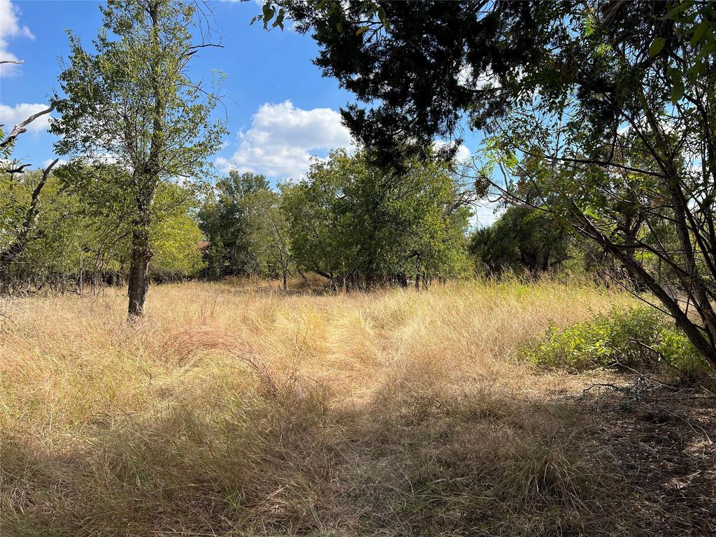 TBD County Road 202, Liberty Hill, TX 78642