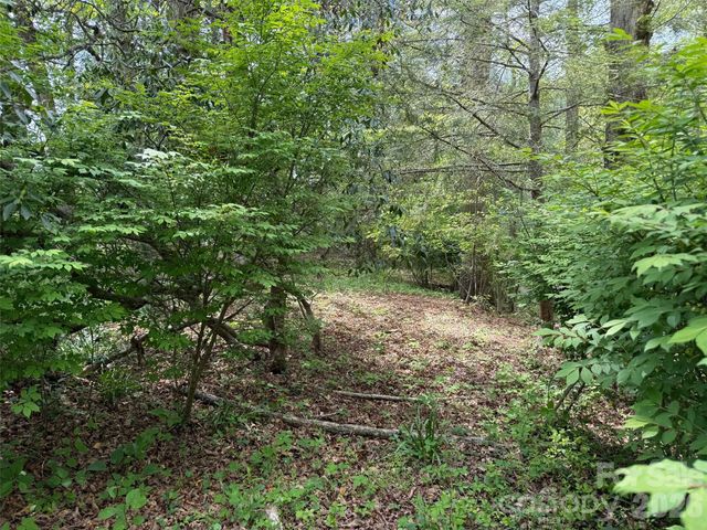 207 Ewbank Road, Etowah, NC 28729