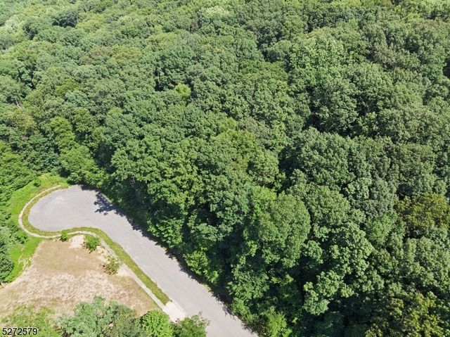 7 Settlers Ridge Ct, Washington Twp., NJ 07853