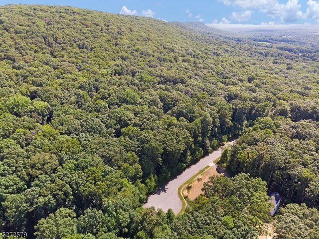 7 Settlers Ridge Ct, Washington Twp., NJ 07853