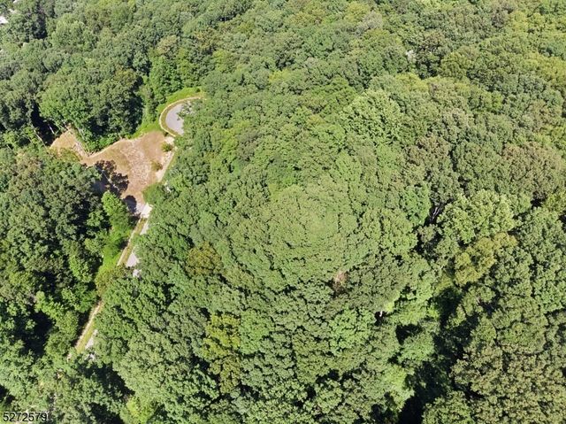 7 Settlers Ridge Ct, Washington Twp., NJ 07853