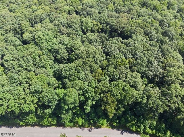 7 Settlers Ridge Ct, Washington Twp., NJ 07853