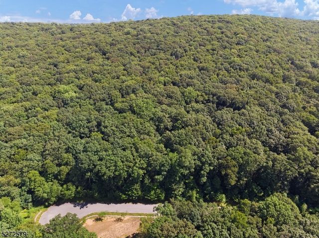 7 Settlers Ridge Ct, Washington Twp., NJ 07853