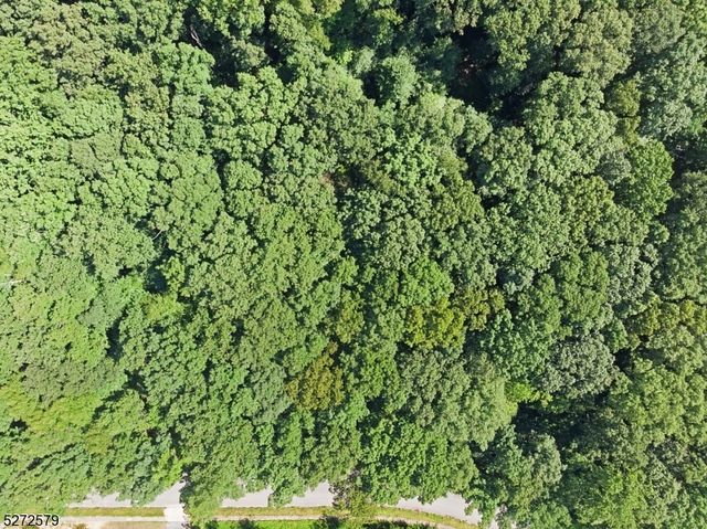 7 Settlers Ridge Ct, Washington Twp., NJ 07853