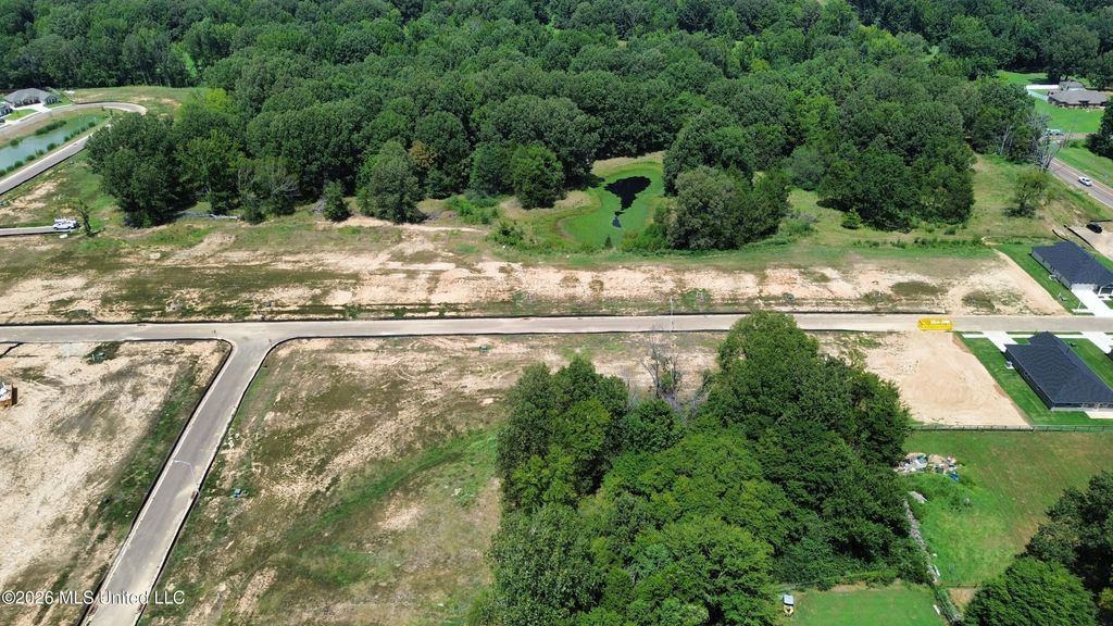 4225 Highway 305, Olive Branch, MS 38654 — exterior