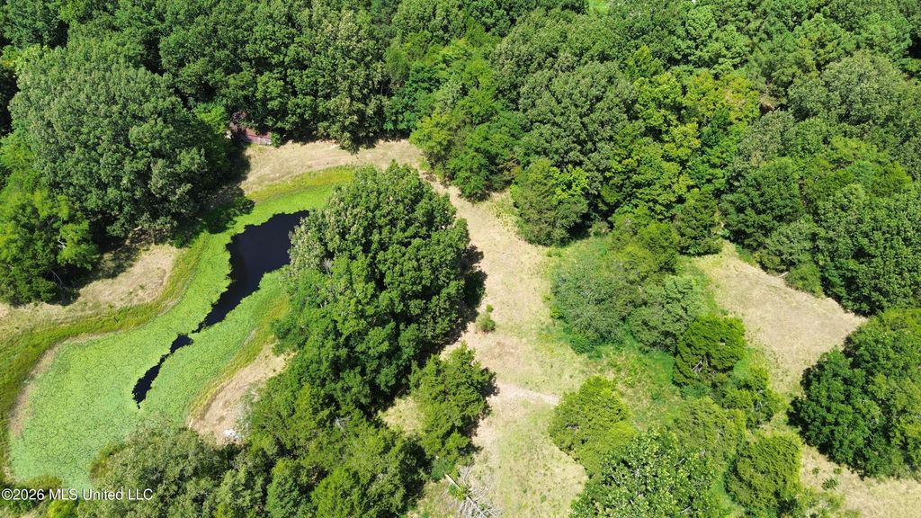 4225 Highway 305, Olive Branch, MS 38654 — photo 4