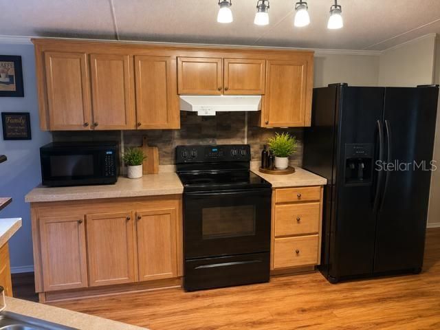 12119 TERRA CEIA AVENUE, New Port Richey, FL 34654