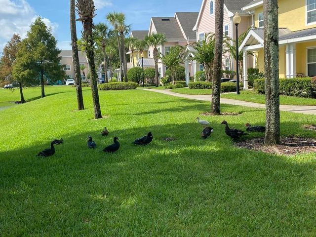 5006 MANGROVE ALLEY 201, Kissimmee, FL 34746