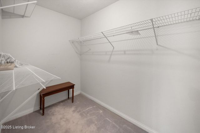 181 Plane Tree Ct, Shepherdsville, KY 40165