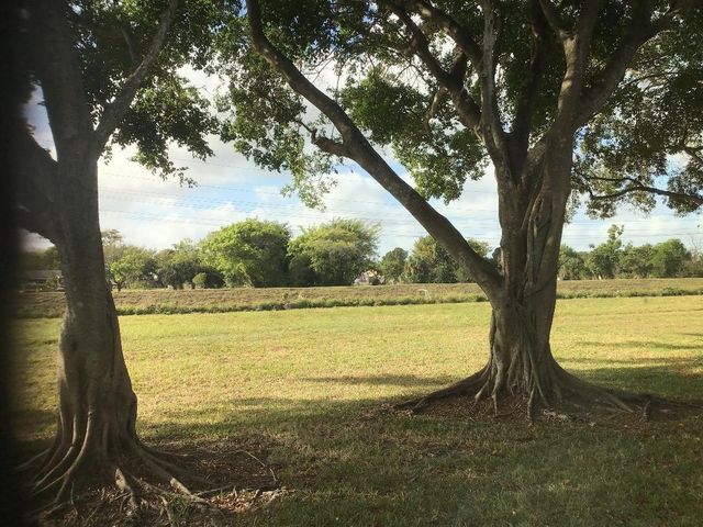 7290 NW 1st Street 205, Margate, FL 33063