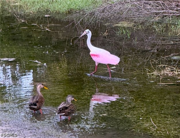 10453 Washingtonia Palm WAY 3343, Fort Myers, FL 33966