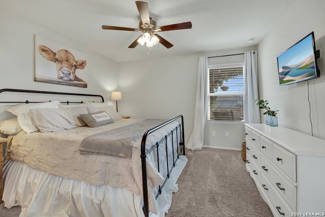 2459 Pechora Pipit, New Braunfels, TX 78130