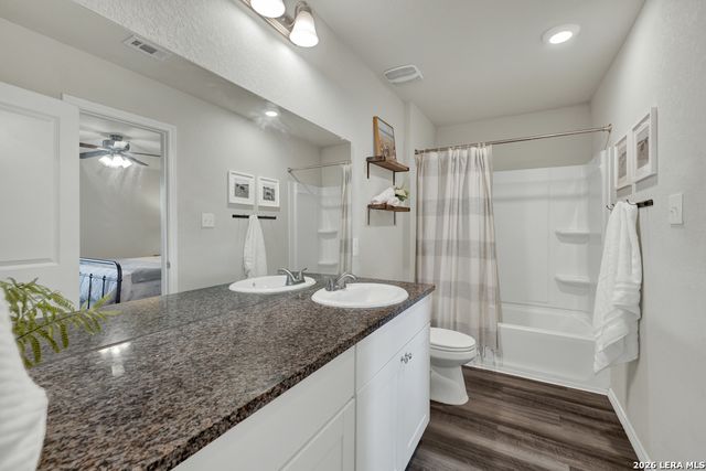 2459 Pechora Pipit, New Braunfels, TX 78130