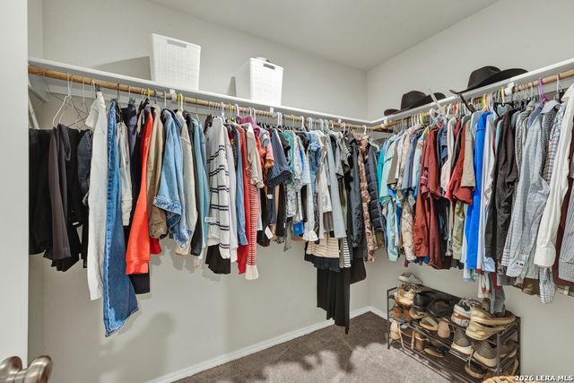 2459 Pechora Pipit, New Braunfels, TX 78130