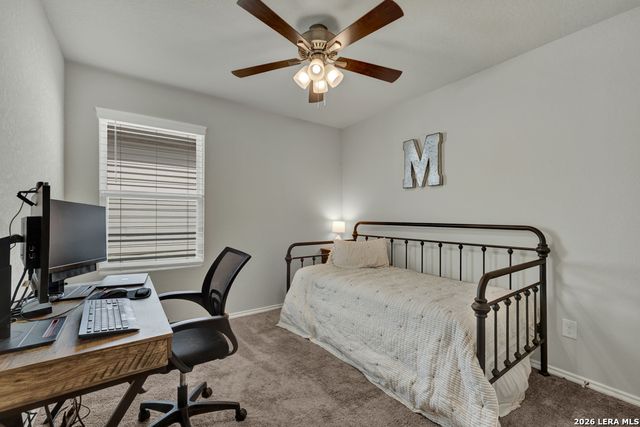 2459 Pechora Pipit, New Braunfels, TX 78130