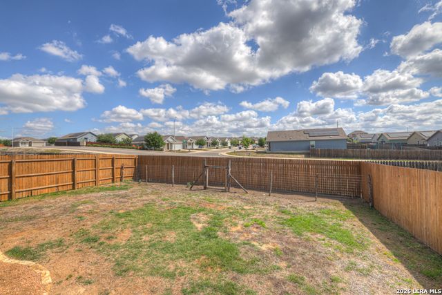 2459 Pechora Pipit, New Braunfels, TX 78130