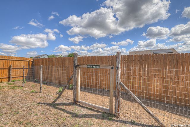 2459 Pechora Pipit, New Braunfels, TX 78130