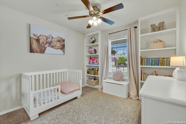 2459 Pechora Pipit, New Braunfels, TX 78130