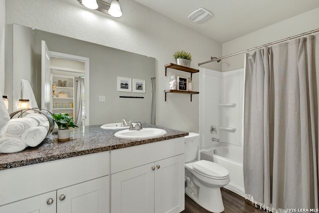 2459 Pechora Pipit, New Braunfels, TX 78130