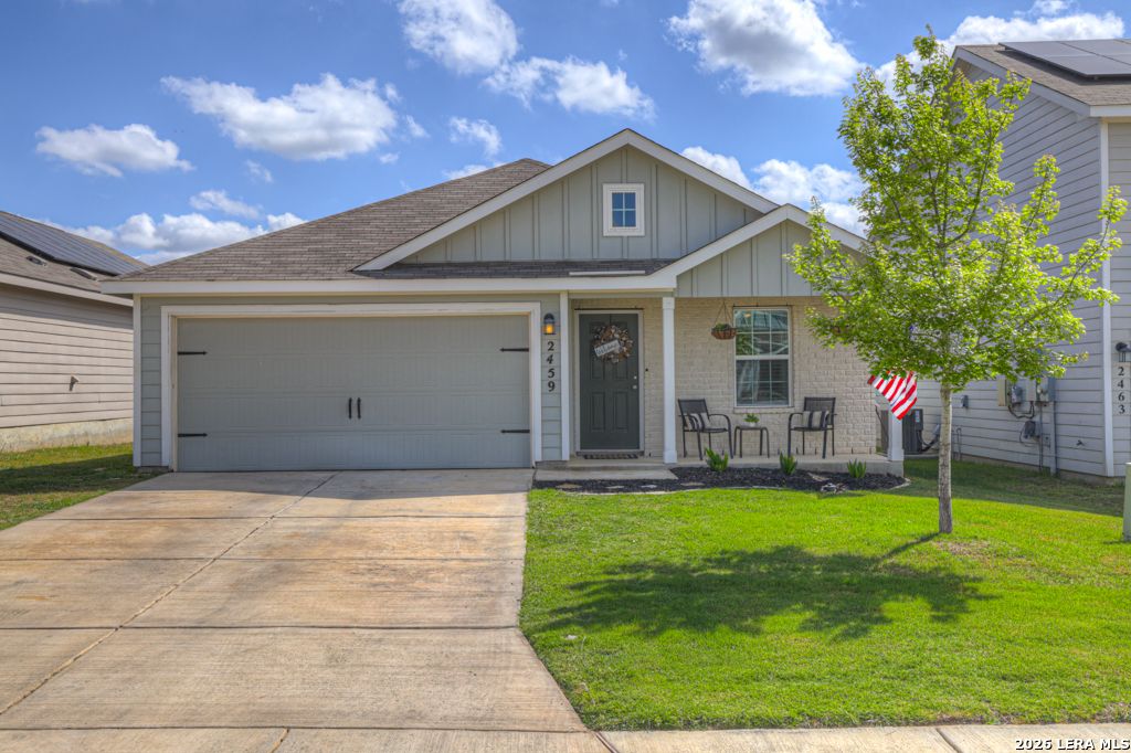 2459 Pechora Pipit, New Braunfels, TX 78130