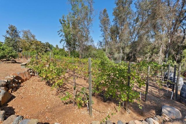 5241 Alzeda Drive, La Mesa, CA 91941