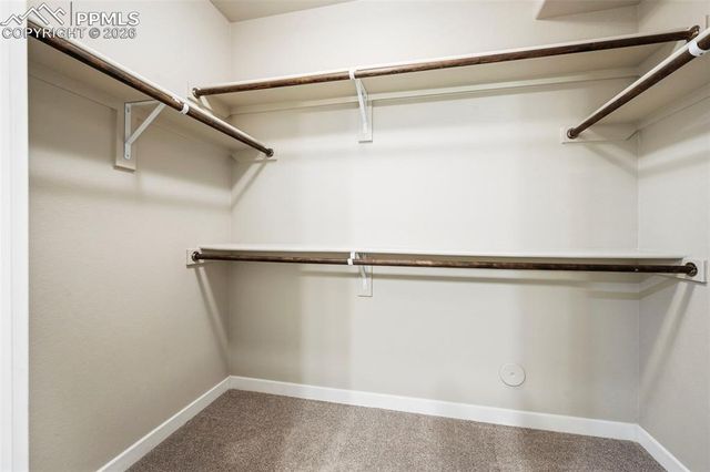 1481 Sunday Stroll Trail, Monument, CO 80132