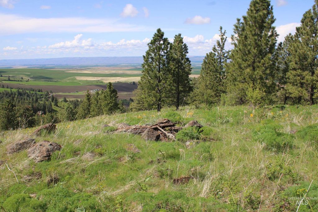 TBD Slickpoo Road, Culdesac, ID 83524 photo 10