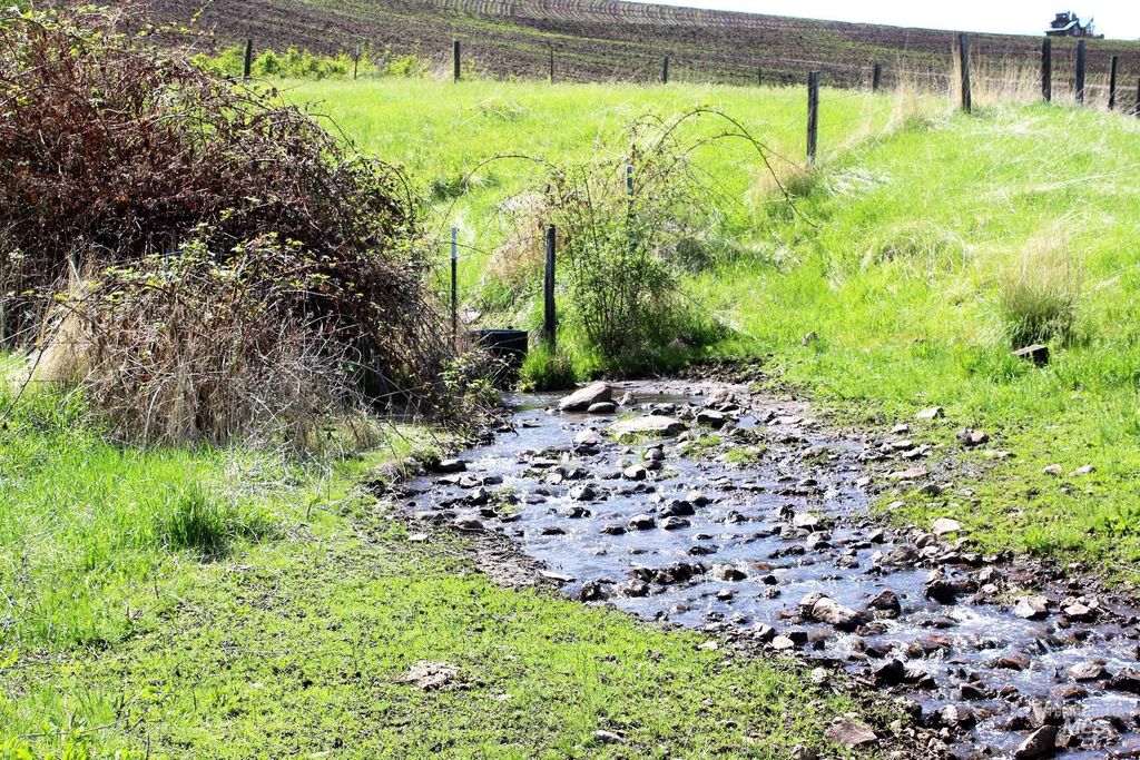 TBD Slickpoo Road, Culdesac, ID 83524 photo 12