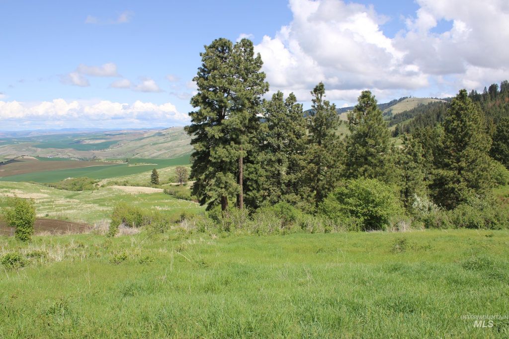 TBD Slickpoo Road, Culdesac, ID 83524 photo 13