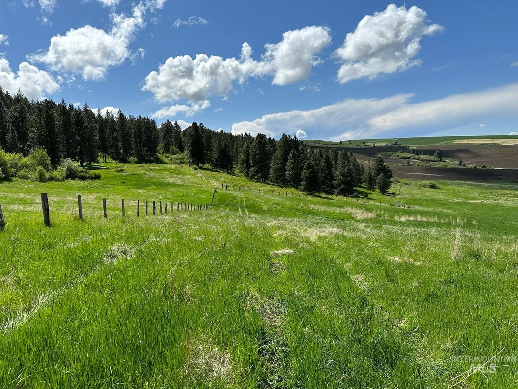 TBD Slickpoo Road, Culdesac, ID 83524 photo 14