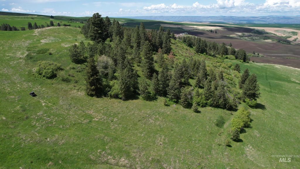 TBD Slickpoo Road, Culdesac, ID 83524 photo 2